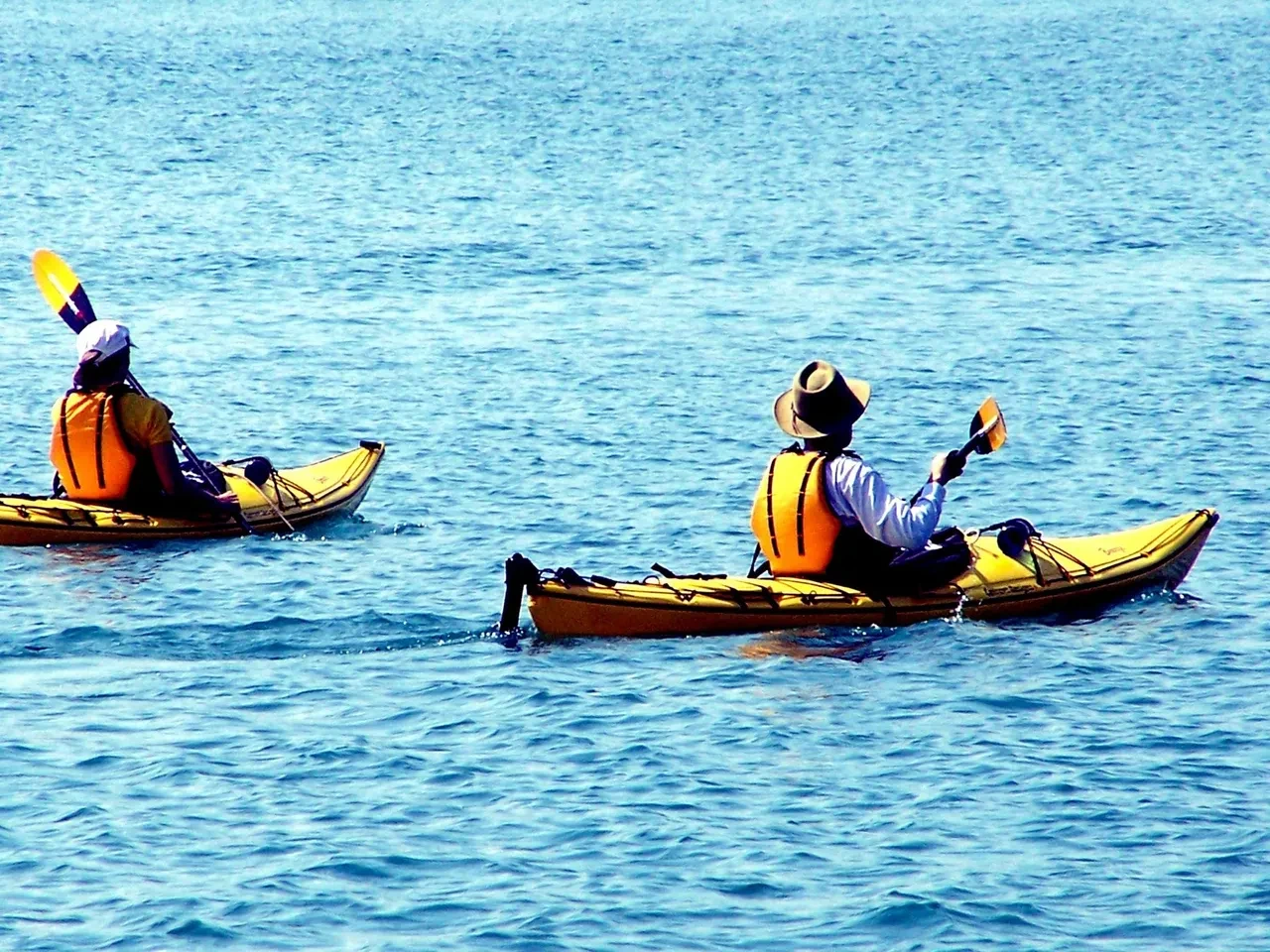 Kayakers on the water